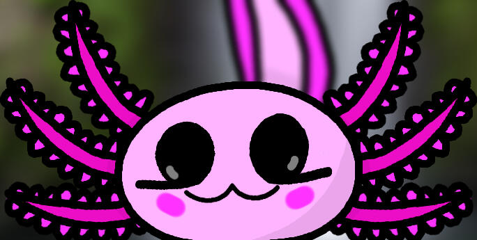 2D Axolotl