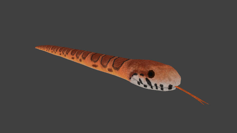 Corn Snake (PZ Model & Texture)